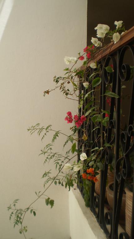Dar Darek Hotel Essaouira Exterior photo